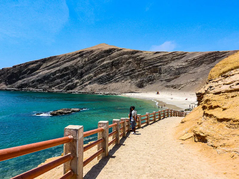 Ballestas Islands Sanctuary and El Candelabro Geoglyph - 3